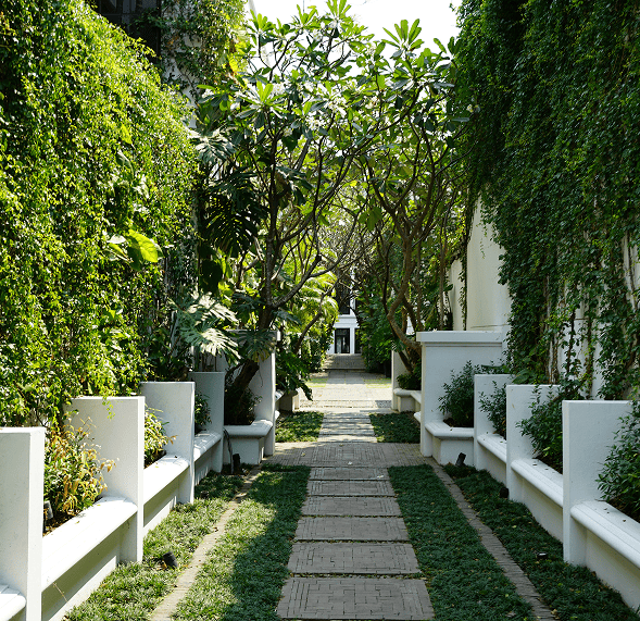 Plot Development & Landscaping